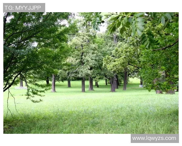 如何制作足球球星照片框并巧妙展示你的收藏与回忆 如何制作足球球星照片框并巧妙展示你的收藏与回忆